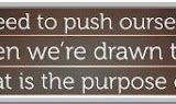 Image saying: We don't need to push ourselves toward a goal when we're drawn toward our calling. That is the purpose of purpose.