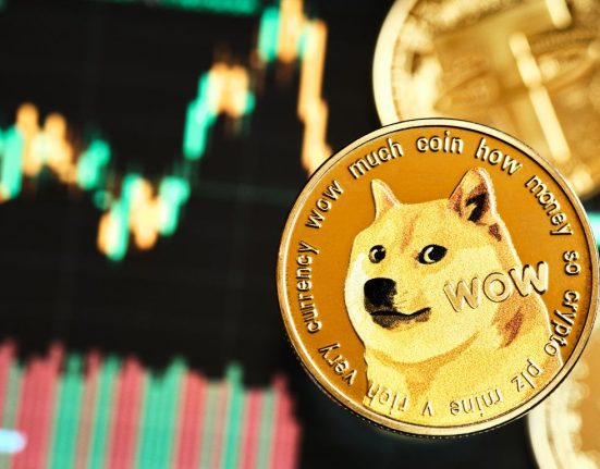 DOGE, SHIB, and ELON Bleed Alongside Major Cryptocurrencies