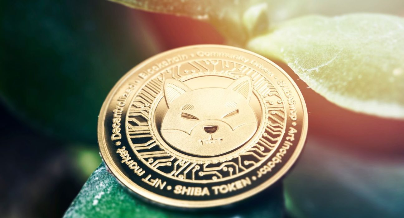 Shiba Inu Price Fall: Shibarium Code Copied from Rinia Blockchain