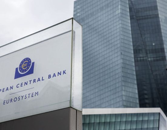 ECB Policymaker Urges for Further Rate Hikes and Balance Sheet Reduction