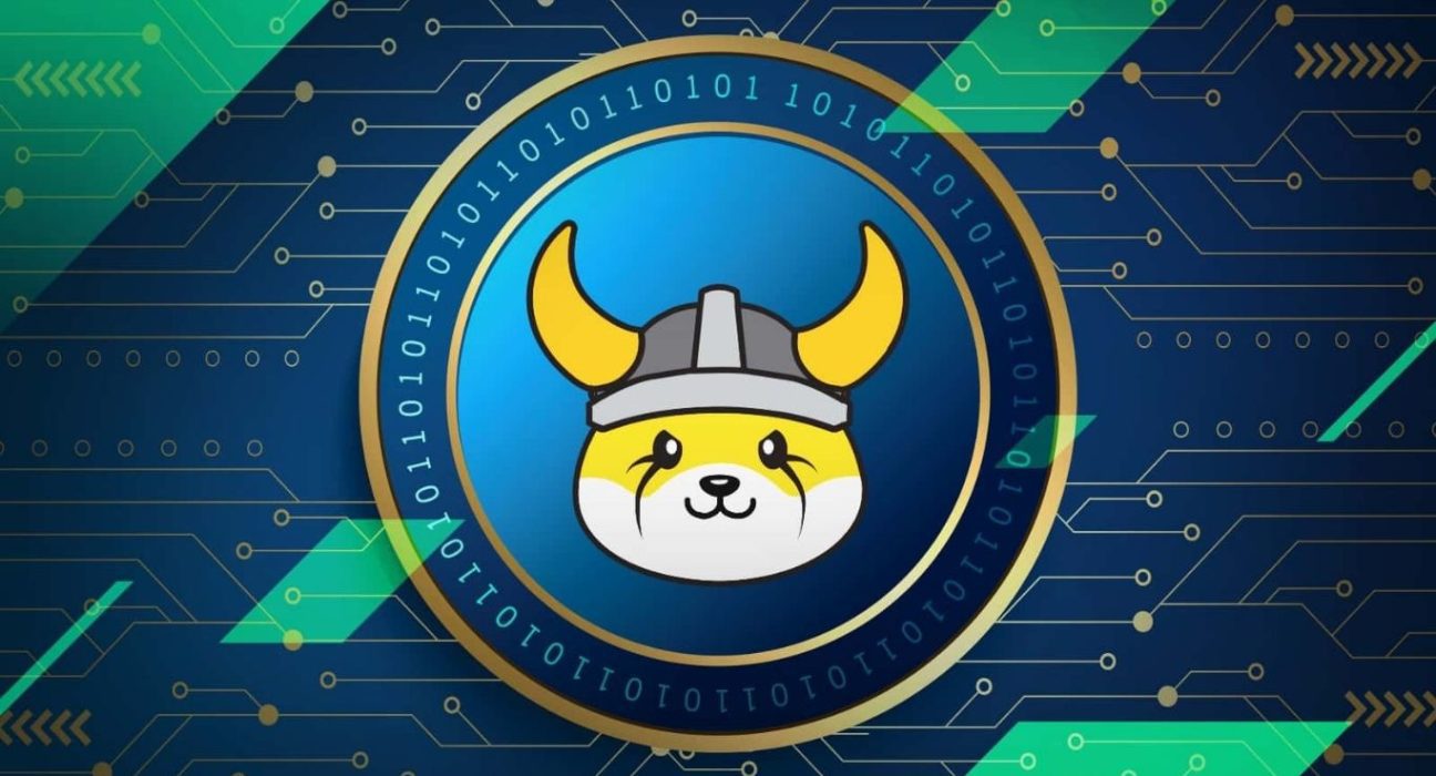 Floki Inu Coin: A Rising Star in the Crypto Market