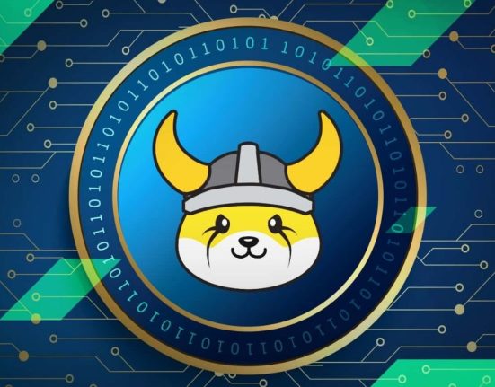 Floki Inu Coin: A Rising Star in the Crypto Market