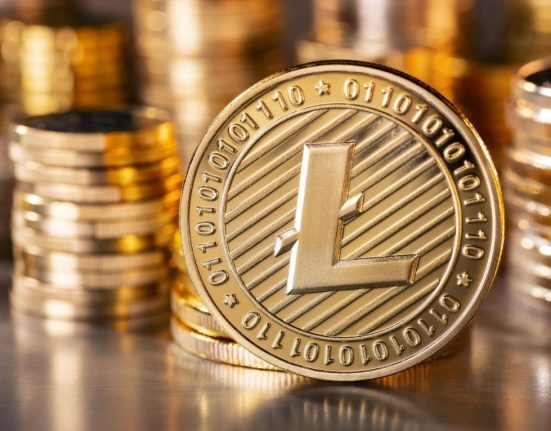 Litecoin Investors Stay Motivated Despite Price Drop