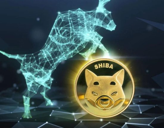 SHIB Recovers with Mid-Volatility: Bullish Momentum or Impending Retreat?
