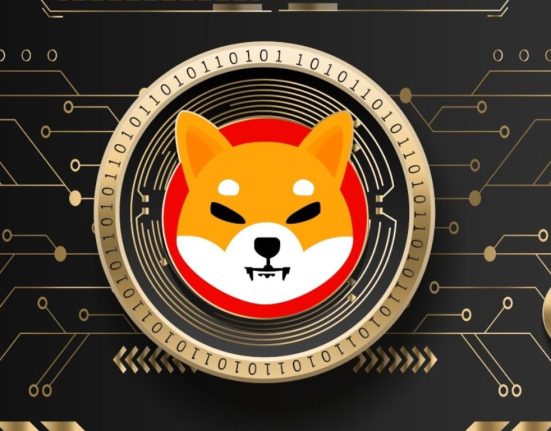 Shiba Inu Consolidates as Price Stagnates: Meme Coin Trading at $0.00000869