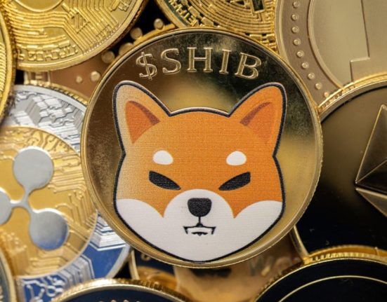 Shiba Inu (SHIB) Token Burn Surges by 1500% Amidst Anticipation of Price Rally
