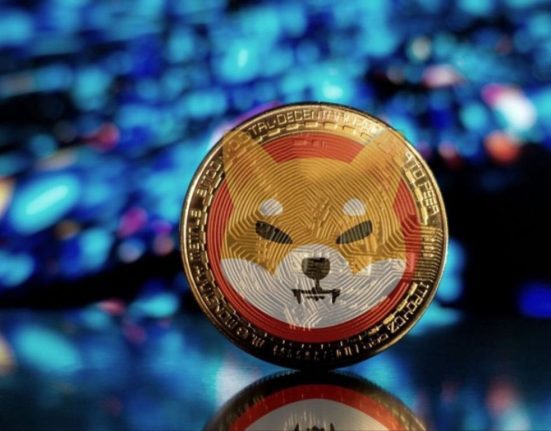 Shiba Inu's Reserves Witness a Significant Decline, Raising Concerns Among Crypto Traders