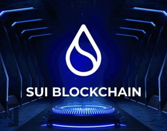 Sui Network Struggles to Gain Traction in the Competitive DeFi Market"