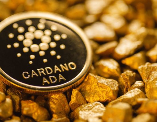 Cardano (ADA) Price Poised for Breakout as Large Transactions Surge