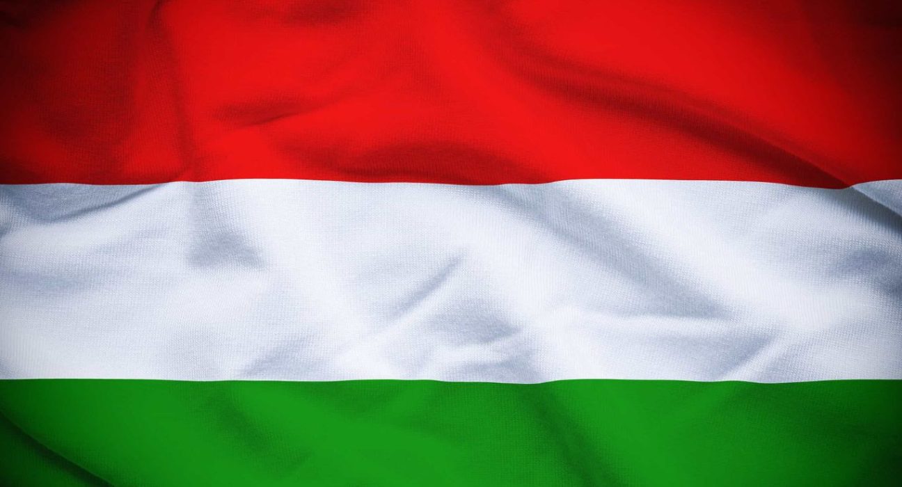 Hungary's Inflation Outlook: Promising Slowdown and Prospects for Interest Rate Cuts