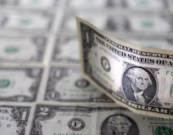 US Dollar Extends Rebound Amid Risk Aversion: Focus on PMI Data and Central Bank Comments