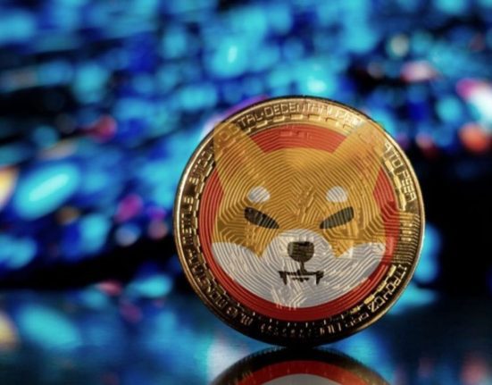 SHIB Whales Hold Over $600 Million Worth of Tokens, SHIB Dominates with 11.94% Share