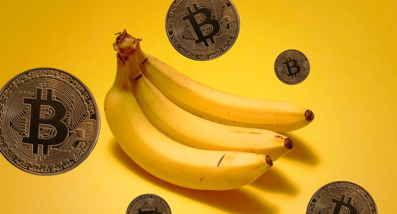 BANANA Token Launch: From Hype to Heartbreak - A Cautionary Tale