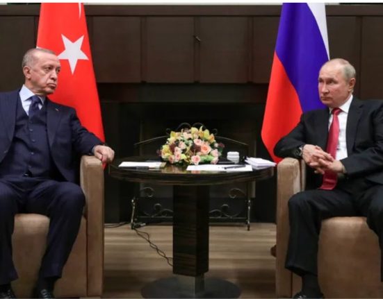 Erdogan Meets Putin in Sochi to Revive Ukraine Grain Export Deal